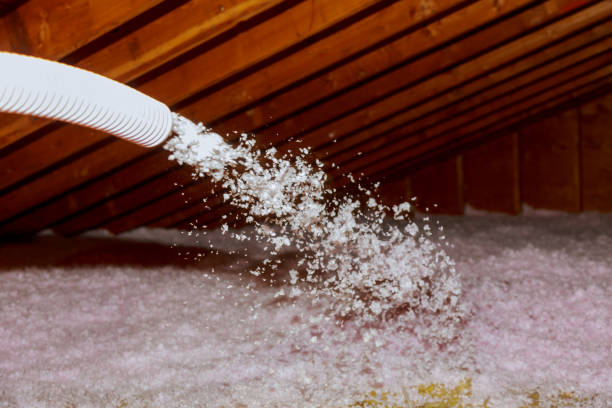 Best Cellulose Insulation  in Baldwin, PA