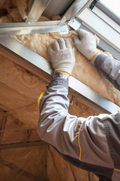 Best Insulation Removal  in Baldwin, PA