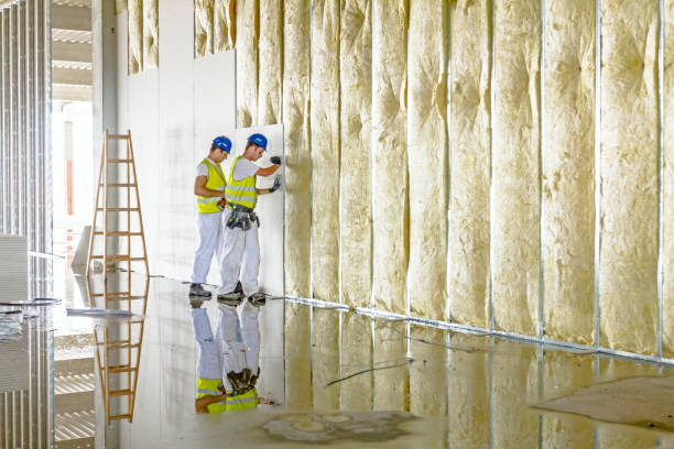 Best Insulation for Commercial Buildings  in Baldwin, PA